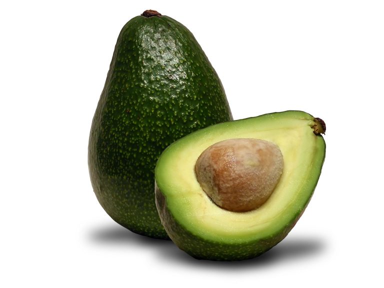 El Aguacate Es Una Fruta O Verdura Wikipedia